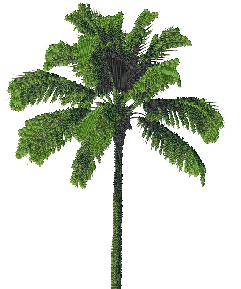 Palm tree